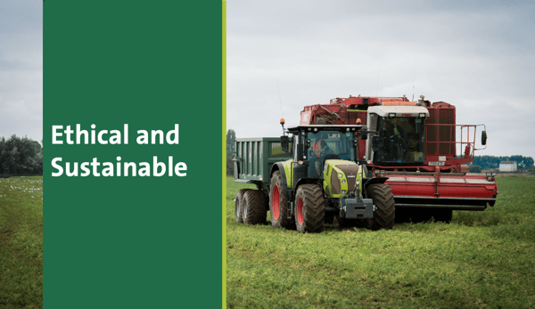 Screenshot 2025-07-23 at 13.44.55